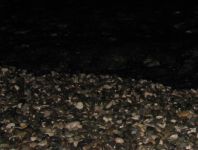 Akmenukų krantas prie Viduržemio jūros naktį